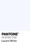 1 pantone color chip 11 0700 tcx