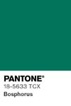 101 pantone color chip 18 5633 tcx