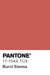 104 pantone color chip 17 1544 tcx