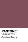 103 pantone color chip 18 1613 tcx