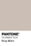 110 pantone color chip 13 0403 tcx