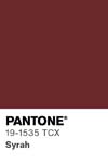 125 pantone color chip 19 1535 tcx