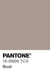 127 pantone color chip 16 0806 tcx