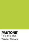 16 pantone color chip 14 0446 tcx