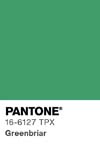 17 pantone color chip 16 6127 tpx