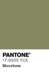 19 pantone color chip 17 0525 tcx