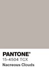 22 pantone color chip 15 4504 tcx