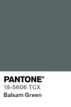 23 pantone color chip 18 5606 tcx