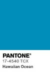 28 pantone color chip 17 4540 tcx