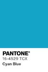 30 pantone color chip 16 4529 tcx