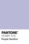 42 pantone color chip 14 3911 tcx