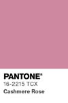 43 pantone color chip 16 2215 tcx