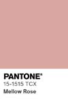 45 pantone color chip 15 1515 tcx
