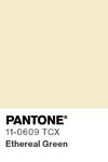 58 pantone color chip 11 0609 tcx