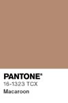 6 pantone color chip 16 1323 tcx