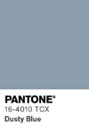 62 pantone color chip 16 4010 tcx