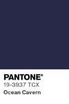 63 pantone color chip 19 3937 tcx