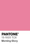 64 pantone color chip 15 1920 tcx