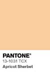 69 pantone color chip 13 1031 tcx