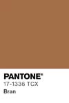 7 pantone color chip 17 1336 tcx