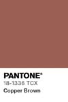 75 pantone color chip 18 1336 tcx