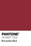 8 pantone color chip 19 1657 tcx