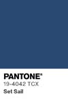 80 pantone color chip 19 4042 tcx