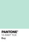 86 pantone color chip 12 5507 tcx