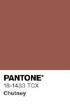 87 pantone color chip 18 1433 tcx