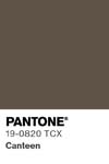 9 pantone color chip 19 0820 tcx
