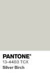90 pantone color chip 13 4403 tcx