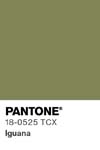 93 pantone color chip 18 0525 tcx