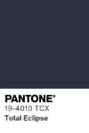 97 pantone color chip 19 4010 tcx
