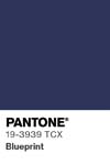 99 pantone color chip 19 3939 tcx