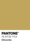 5155 pantone color chip 15 0732 tcx
