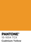5510 pantone color chip 15 1054 tcx