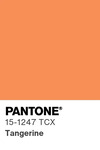 5513 pantone color chip 15 1247 tcx