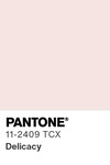 5517 pantone color chip 11 2409 tcx