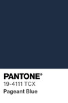 5523 pantone color chip 19 4111 tcx