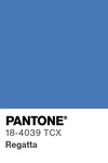 5527 pantone color chip 18 4039 tcx
