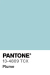 5530 pantone color chip 13 4809 tcx
