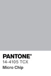 5539 pantone color chip 14 4105 tcx