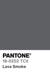 5540 pantone color chip 18 0202 tcx