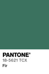 5542 pantone color chip 18 5621 tcx