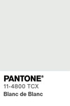 5545 pantone color chip 11 4800 tcx