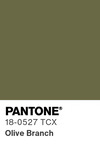 5546 pantone color chip 18 0527 tcx