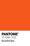 5550 pantone color chip 17 1361 tcx