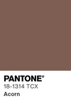 5551 pantone color chip 18 1314 tcx