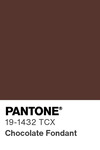 5552 pantone color chip 19 1432 tcx