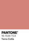 5554 pantone color chip 16 1526 tcx